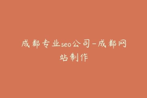 成都专业seo公司-成都网站制作