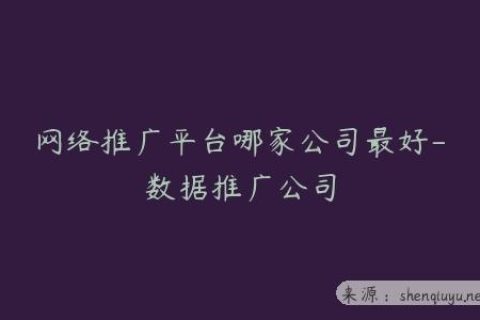 网络推广平台哪家公司最好-数据推广公司