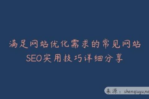 满足网站优化需求的常见网站SEO实用技巧详细分享