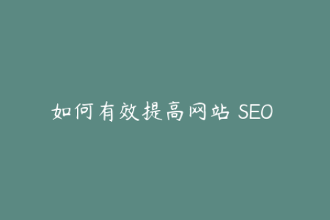如何有效提高网站 SEO 优化转化率的实用方法与技巧