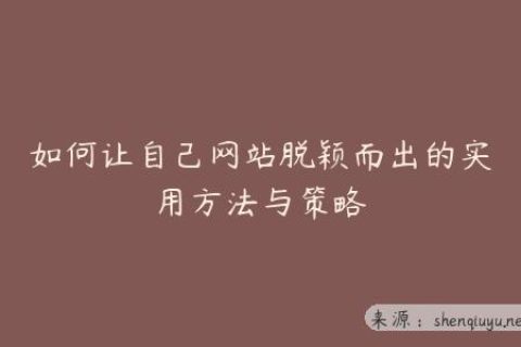 如何让自己网站脱颖而出的实用方法与策略