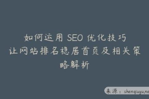 如何运用 SEO 优化技巧让网站排名稳居首页及相关策略解析