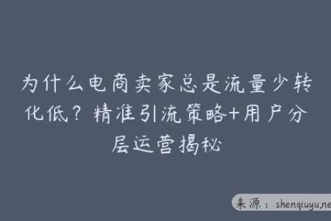 为什么电商卖家总是流量少转化低？精准引流策略+用户分层运营揭秘
