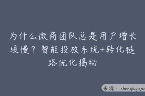 为什么微商团队总是用户增长缓慢？智能投放系统+转化链路优化揭秘