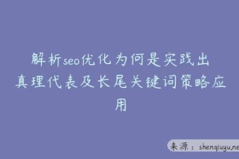解析seo优化为何是实践出真理代表及长尾关键词策略应用