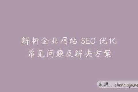 解析企业网站 SEO 优化常见问题及解决方案