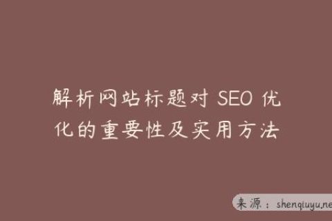 解析网站标题对 SEO 优化的重要性及实用方法