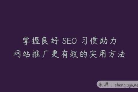 掌握良好 SEO 习惯助力网站推广更有效的实用方法