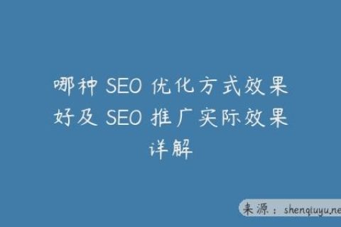 哪种 SEO 优化方式效果好及 SEO 推广实际效果详解