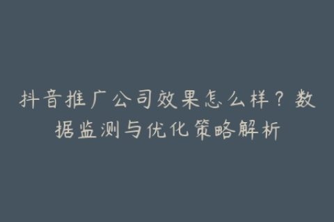 抖音推广公司效果怎么样？数据监测与优化策略解析