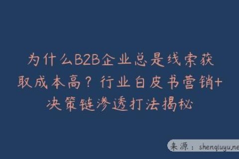 为什么B2B企业总是线索获取成本高？行业白皮书营销+决策链渗透打法揭秘