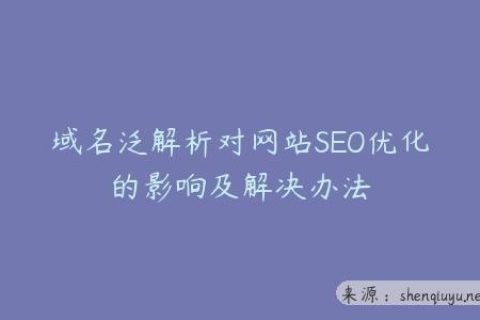 域名泛解析对网站SEO优化的影响及解决办法