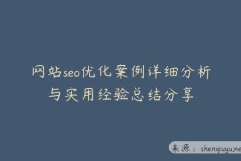 网站seo优化案例详细分析与实用经验总结分享