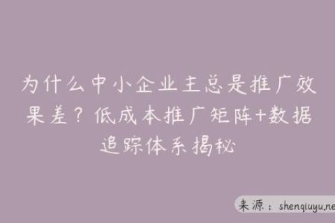 为什么中小企业主总是推广效果差？低成本推广矩阵+数据追踪体系揭秘