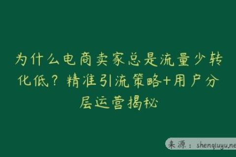 为什么电商卖家总是流量少转化低？精准引流策略+用户分层运营揭秘