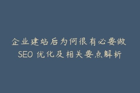 企业建站后为何很有必要做 SEO 优化及相关要点解析