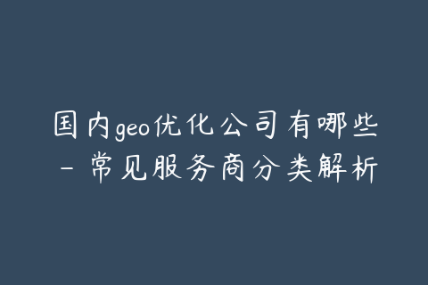国内geo优化公司有哪些 - 常见服务商分类解析