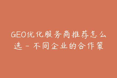 GEO优化服务商推荐怎么选 - 不同企业的合作策略