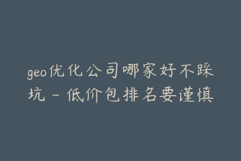 geo优化公司哪家好不踩坑 - 低价包排名要谨慎