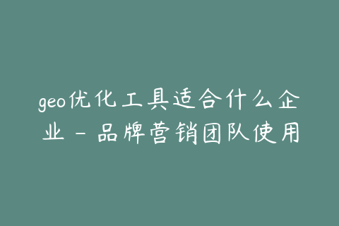 geo优化工具适合什么企业 - 品牌营销团队使用场景