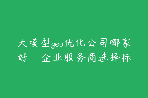 大模型geo优化公司哪家好 - 企业服务商选择标准