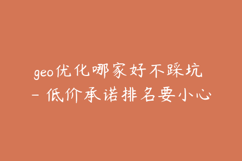 geo优化哪家好不踩坑 - 低价承诺排名要小心