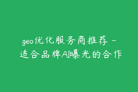 geo优化服务商推荐 - 适合品牌AI曝光的合作方式