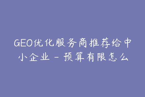 GEO优化服务商推荐给中小企业 - 预算有限怎么做